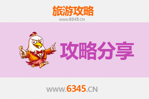 湛江坡头旅游攻略：跟团与自由行全方位解析