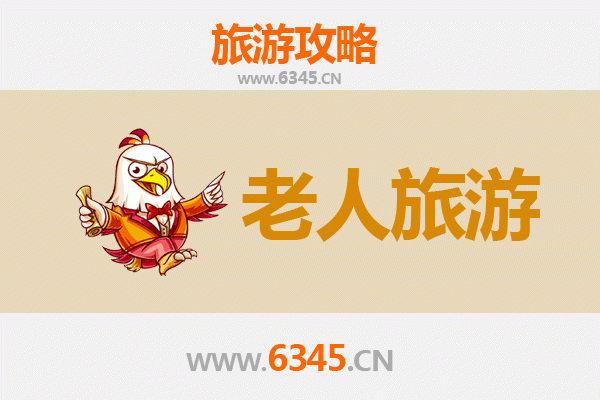 湛江坡头银龄之旅：慢游海湾，乐享康养