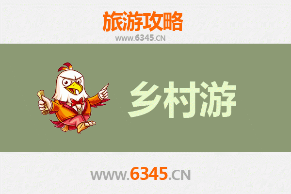 湛江坡头乡村旅游精品线路推荐：探秘红树林与渔家文化的自然之旅